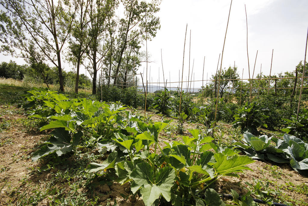Tenuta La Santissima San Rocco a Pilli ภายนอก รูปภาพ