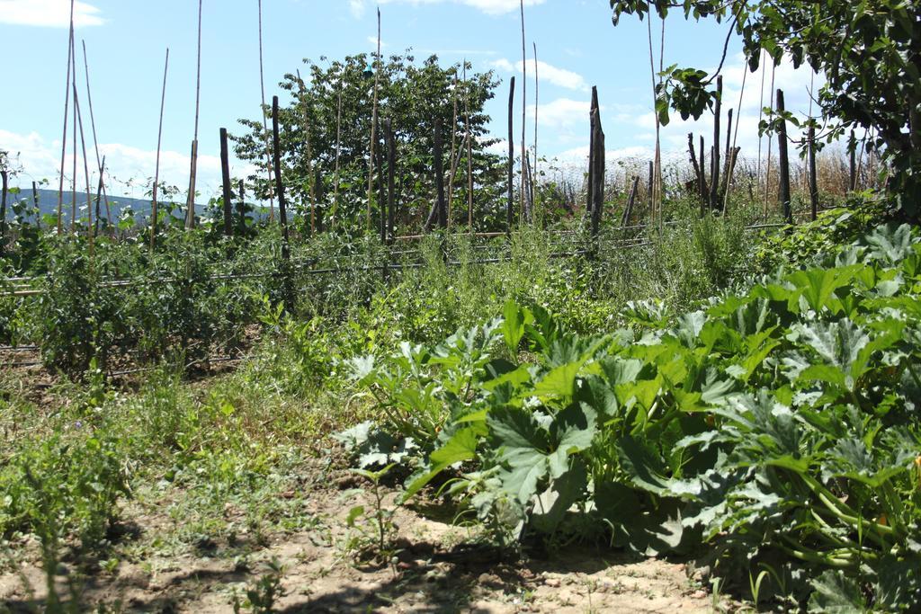 Tenuta La Santissima San Rocco a Pilli ภายนอก รูปภาพ